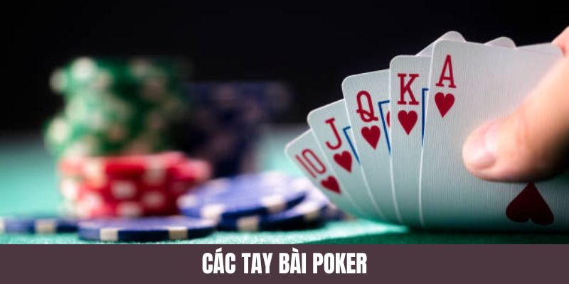 Các tay bài trong poker